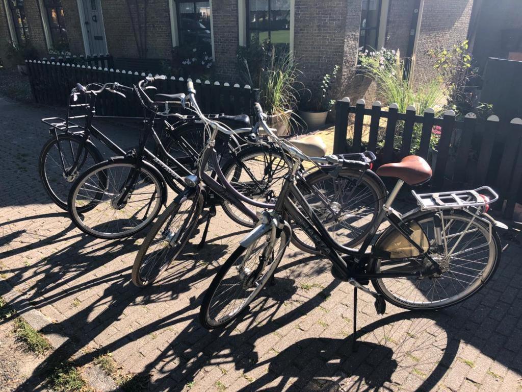 Vakantiehuis In Friesland Voor De Hele Familie Huns Zewnętrze zdjęcie
