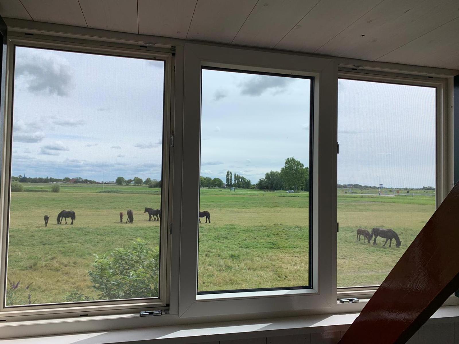 Vakantiehuis In Friesland Voor De Hele Familie Huns Zewnętrze zdjęcie