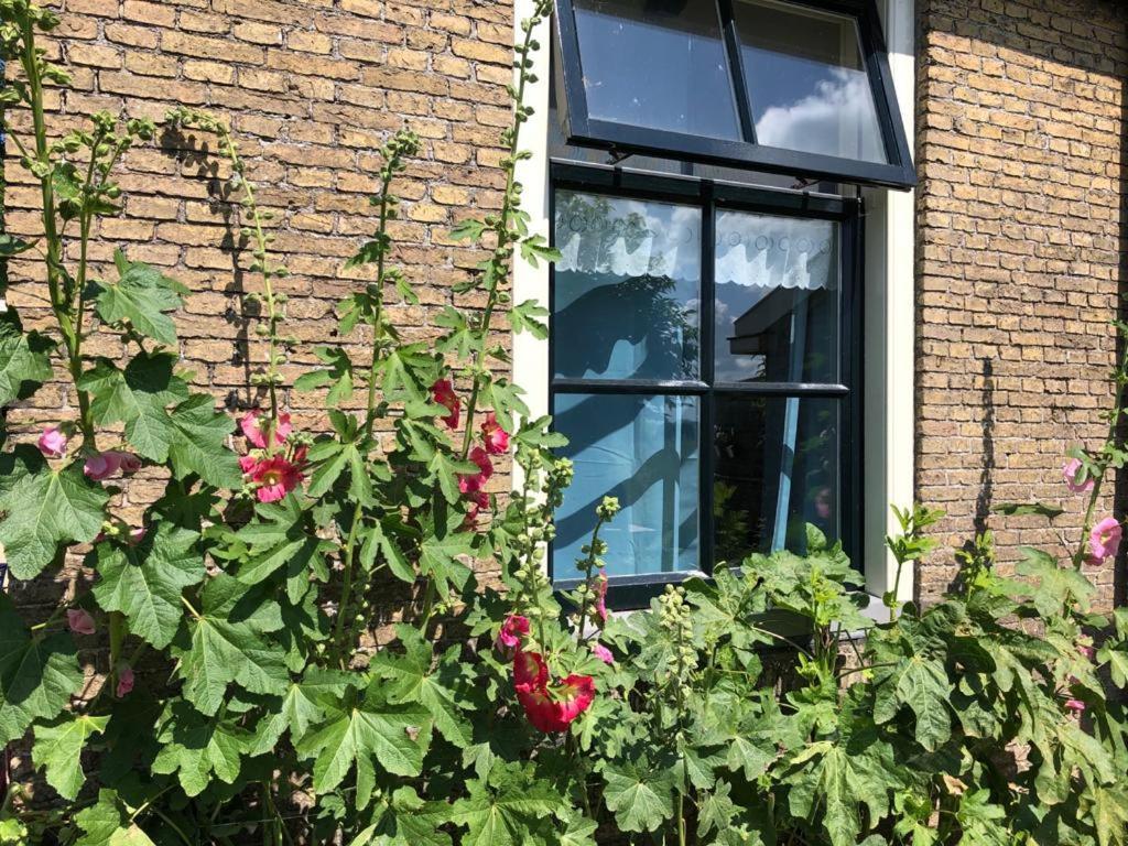 Vakantiehuis In Friesland Voor De Hele Familie Huns Zewnętrze zdjęcie